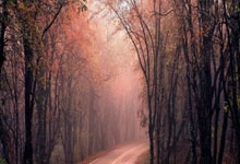 6686体育：[冰雪]冰壶混双项目的新成员.