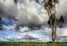 6686体育:TA:拉什福德将时隔一年重返英格兰队!格拉利什将落选.